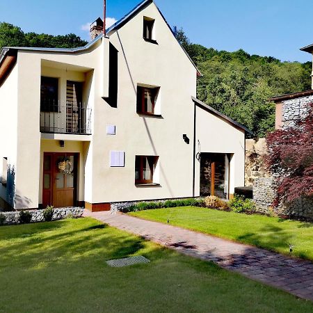 Prazdninovy Dum Valdik Villa Loket Buitenkant foto