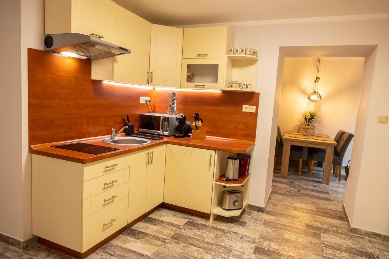 Prazdninovy Dum Valdik Villa Loket Buitenkant foto